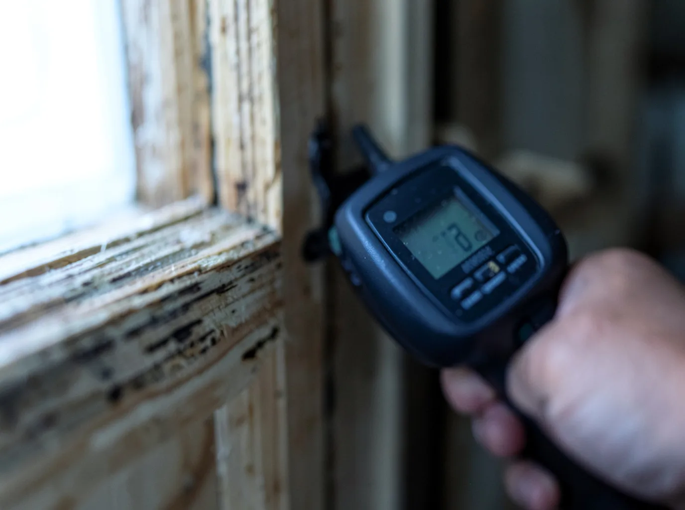 Water Damage Restoration Olga, WA FAQs